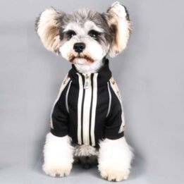 2020 Dog Coat Spring Autumn Pet Clothing Small Designer Dog Clothes www.gmtpet.ltd