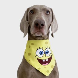 New Product Yellow Cartoon Cute Duck triangle scarf Pet Saliva Towel www.gmtpet.ltd