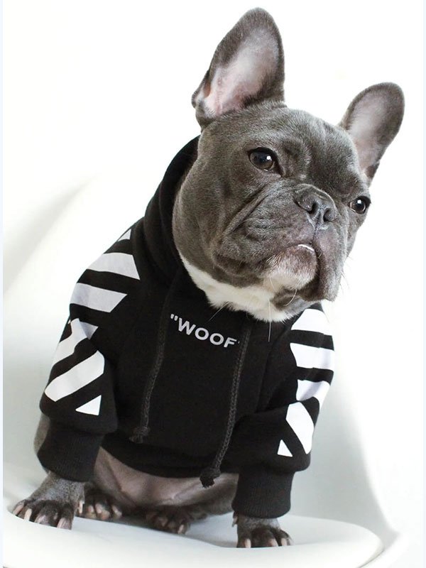 Роскошная одежда для домашних животных, теплая толстовка с капюшоном, модная зимняя дизайнерская одежда для собак на заказ, 06-1396 www.gmtpet.ltd