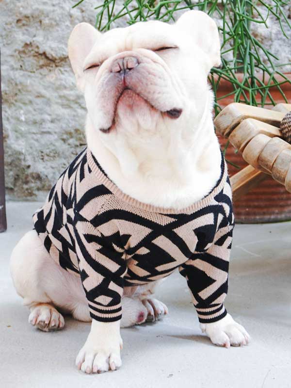 Оптовый поставщик одежды для домашних животных Роскошный вязаный свитер для собак Теплая зимняя одежда для собак 06-1392 www.gmtpet.ltd