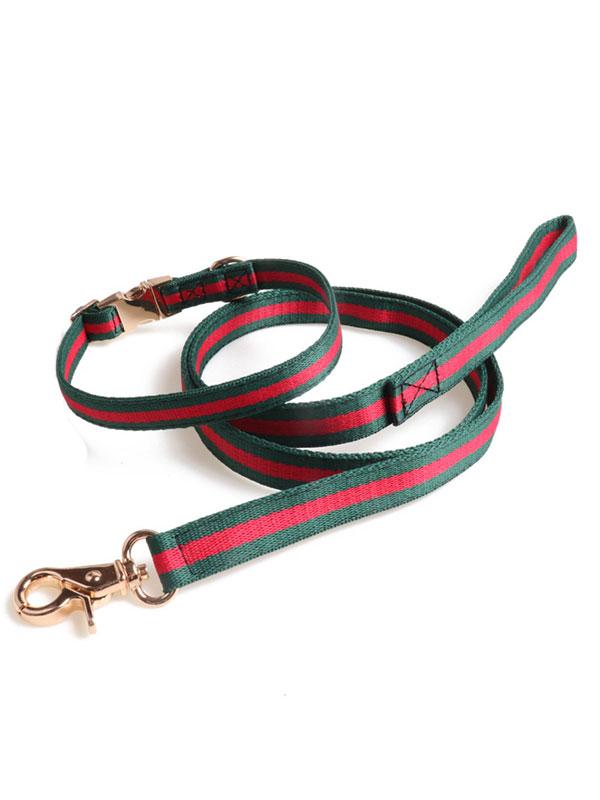 Factory Wholesale Pet Collar Nylon Webbing Dog Leash Rope Dog Collar Heavy Duty Dog Leash With Full Metal Buckle 06-1608 www.gmtpet.ltd