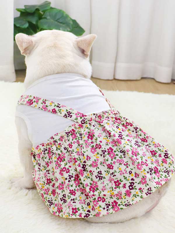 Ropa para perros y mascotas Camisa de fondo Camiseta Ropa de algodón Vestido 107-222043 www.gmtpet.ltd