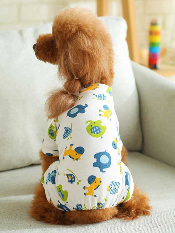 Nuevo cachorro perro Teddy ropa de cuatro patas ropa informal para mascotas 107-222047 www.gmtpet.ltd