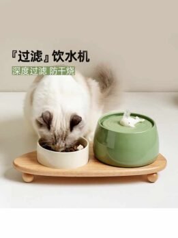 Factory Wholesale Cat Ceramic Automatic Circulation Filtration